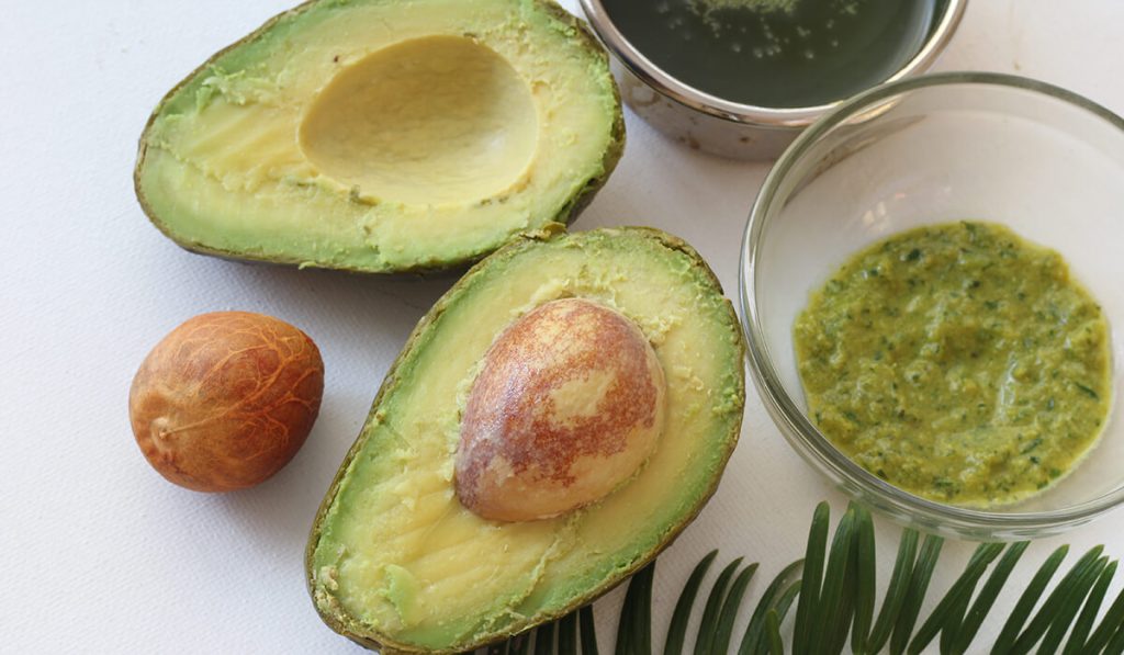 AVOCADO SELF-CARE DIET #7: Healthy for the heart
