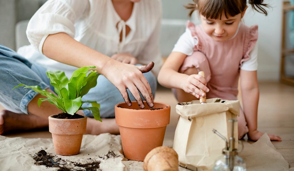 Self-care benefits of plants #6: provides a healthy hobby