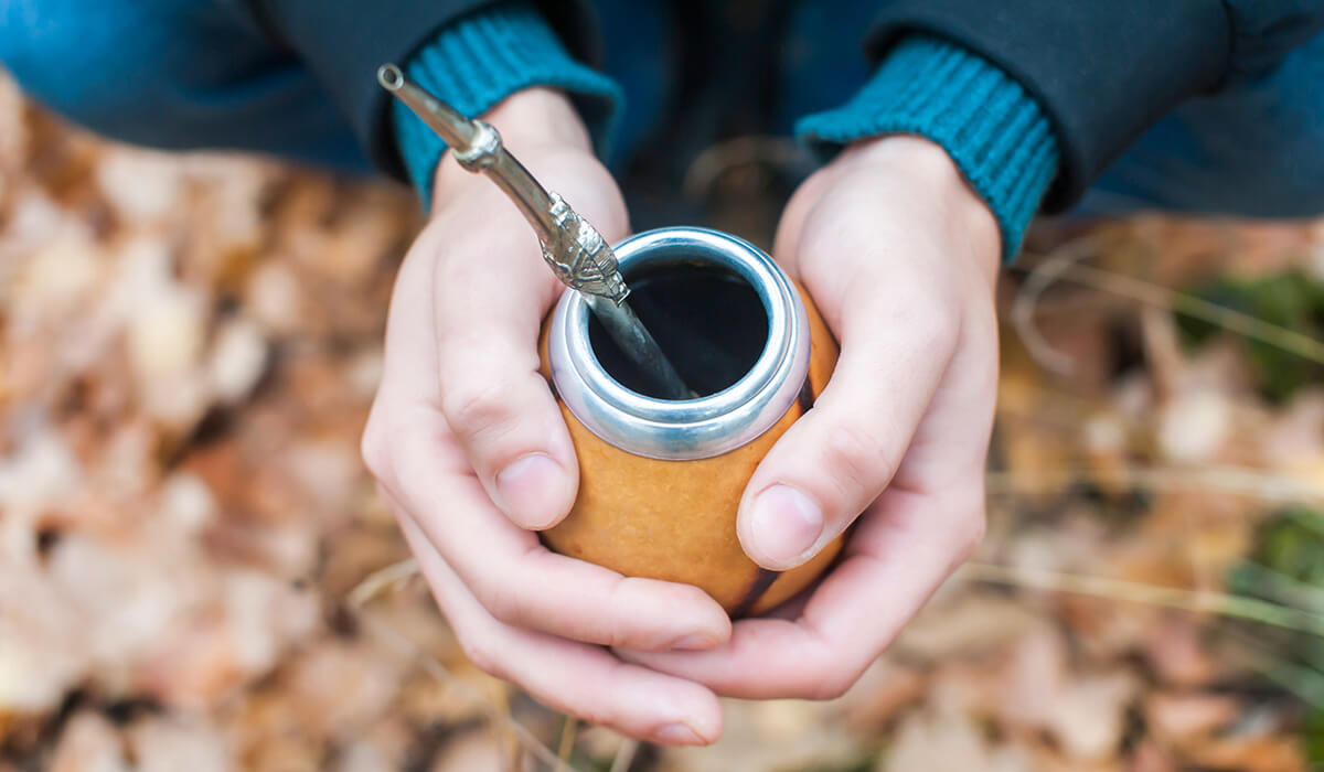 5 Tremendous Mental & Physical HEALTH BENEFITS OF YERBA MATE TEA