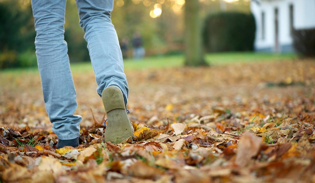 Autumn Season Self-care take a walk