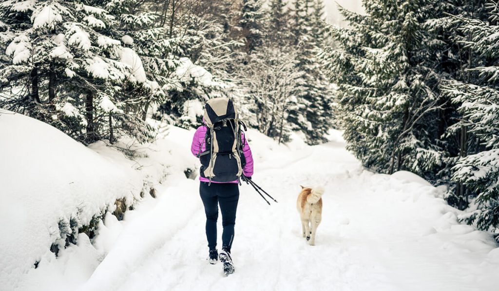 winter season self-care - walk in the cold