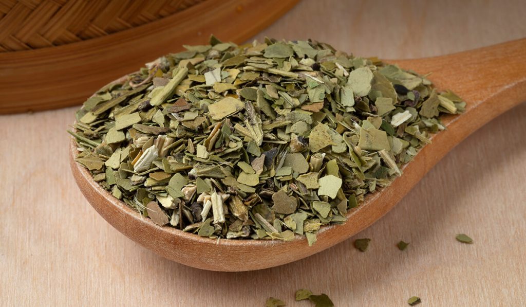 5 Tremendous Mental & Physical HEALTH BENEFITS OF YERBA MATE TEA  - what is yerba mate tea