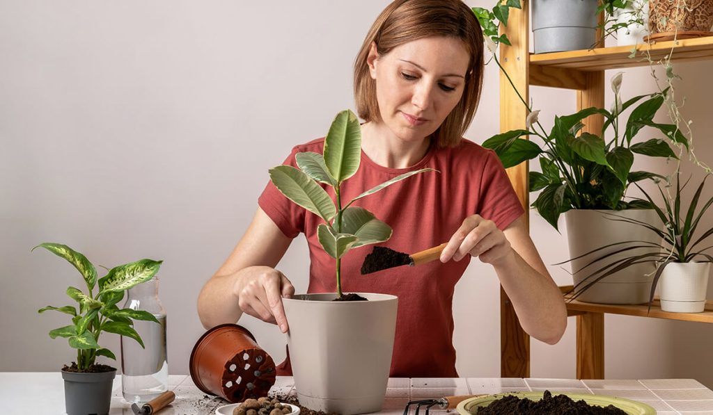 Self-care benefits of plants #4: Sense of personal achievement