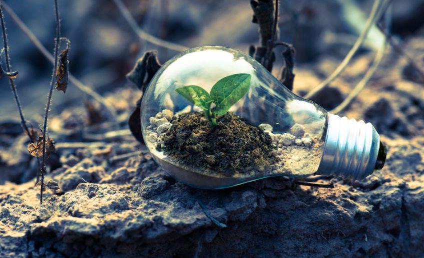 How to Cultivate a Growth Mindset & Achieve Your Goals - selfcare